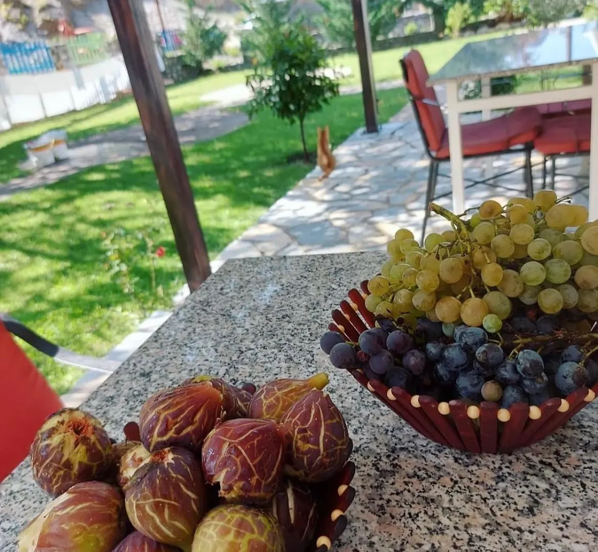 Bed and Breakfast Prekal Park Kamping Shkodër Bed & Breakfast